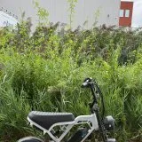 V20 Pro Vision Nardo Gray