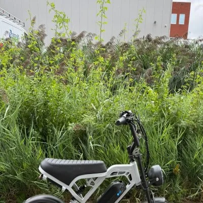 V20 Pro Vision Nardo Gray