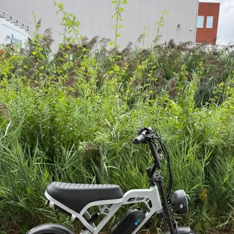 V20 Pro Vision Nardo Gray