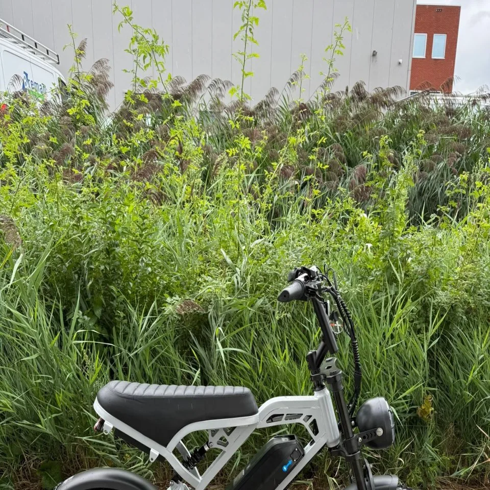 V20 Pro Vision Nardo Gray