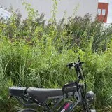 V20 Pro Vision Dark Gray/Pink Edition