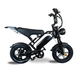 V20 mini 2026 Special Edition Fatbike Zwart | Combi-Deal