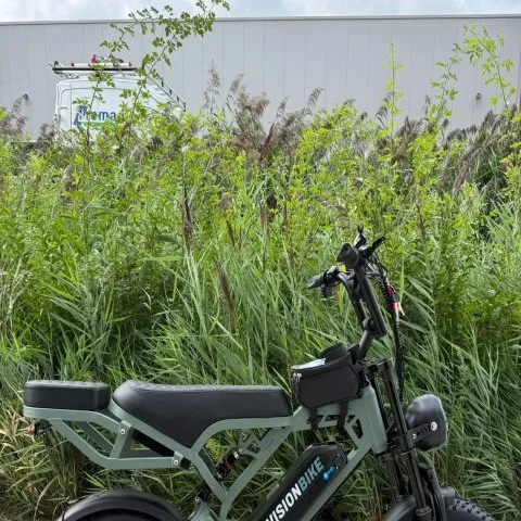 V20 Pro Vision Green/Gray Edition