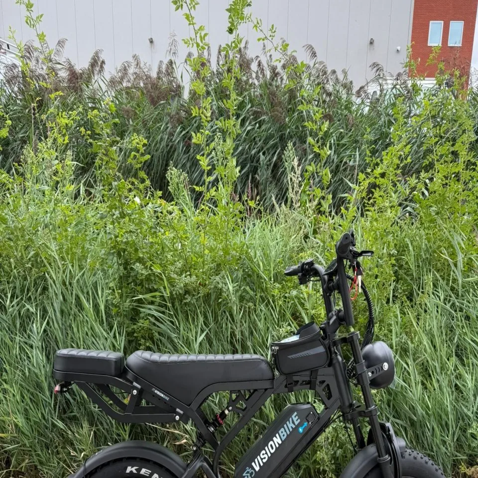 V20 Pro Vision Black/Gray Edition