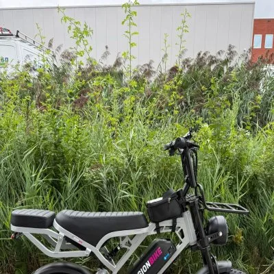 V20 Pro Vision Nardo Gray/Pink Edition