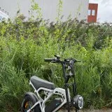 V20 Pro Vision Nardo Gray