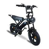 V20 mini 2026 Special Edition Fatbike Zwart | Combi-Deal